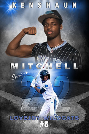 Baseball sample2