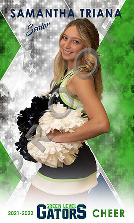 Cheer example (6)
