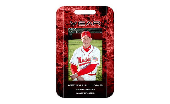 N - Bag Tags