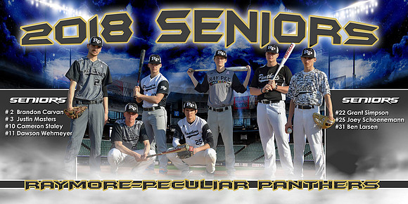 Seniors Group Banner - 5'x3' or larger $75