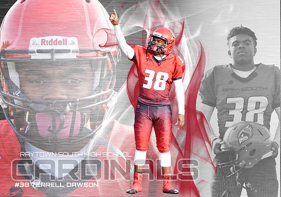 Terrell - Cardinal montage 83x67 WEB