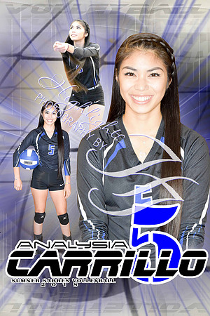Analysia Carillo Senior Banner2 WEB (WATERMARKED)