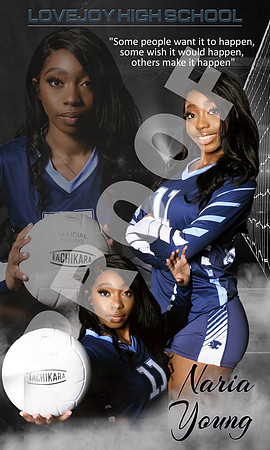 Volleyball example3