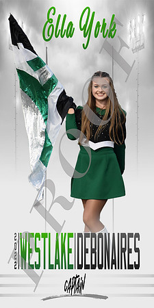Cheer-Dance-Flag example (1)