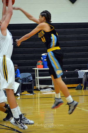 Liberty North vs Grandview 1-16-15 (169)