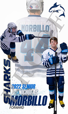 Ice Hockey21 example3