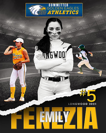 Softball example
